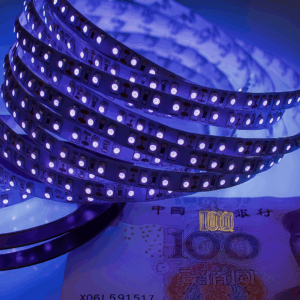 Cinta ULTRAVIOLETA SMD 2835 SECOLA1 120 LR//M 15W 12v IP-33